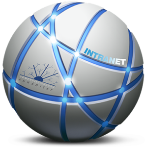 INTRANET